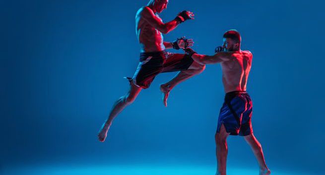 High League – kto stoi za organizacją gali freak fight?