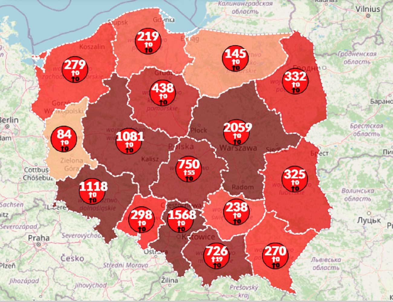Mapa koronawirusa w Polsce. Ponad 10 tysięcy zarażonych