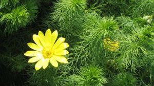 Konkurs fotograficzny "Poczuj energię z natury" 1