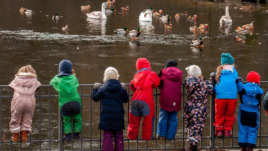 Zdjęcie ilustracyjne