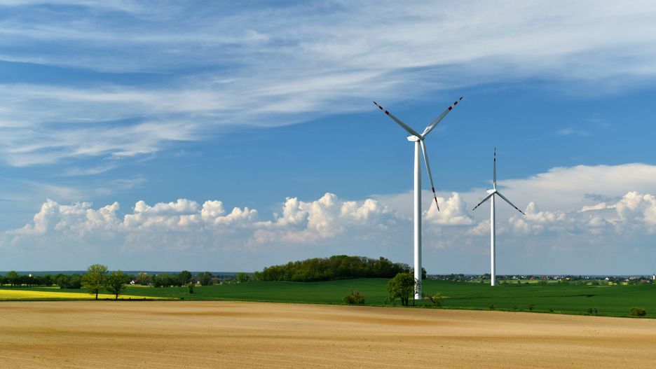energetyczne, moc, turbina, wiatrak, niebo, okolica, farma, alternatywa, pola, ekologia, generator, krajobraz, odnawialny, turbina wiatrowa, technologia, energia, energetyka, wiatraki, energia alternatywna, elektrownia wiatrowa, ekologiczny, chmury, pole, drzewa, drzewo, taczalin, niebieskie, wiatrowa, elektrownia