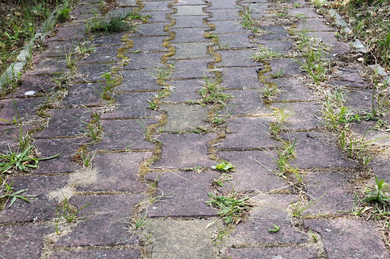 Win the war on weeds: A simple, homemade solution for paving stones