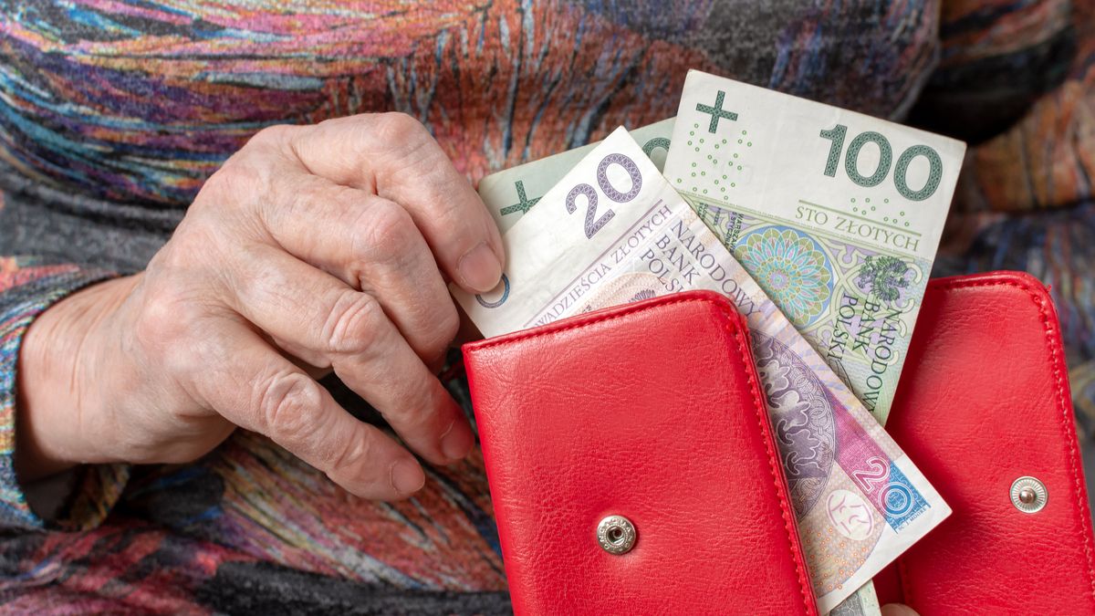 Niskie składki znajdują swoje odbicie w niskich emeryturach