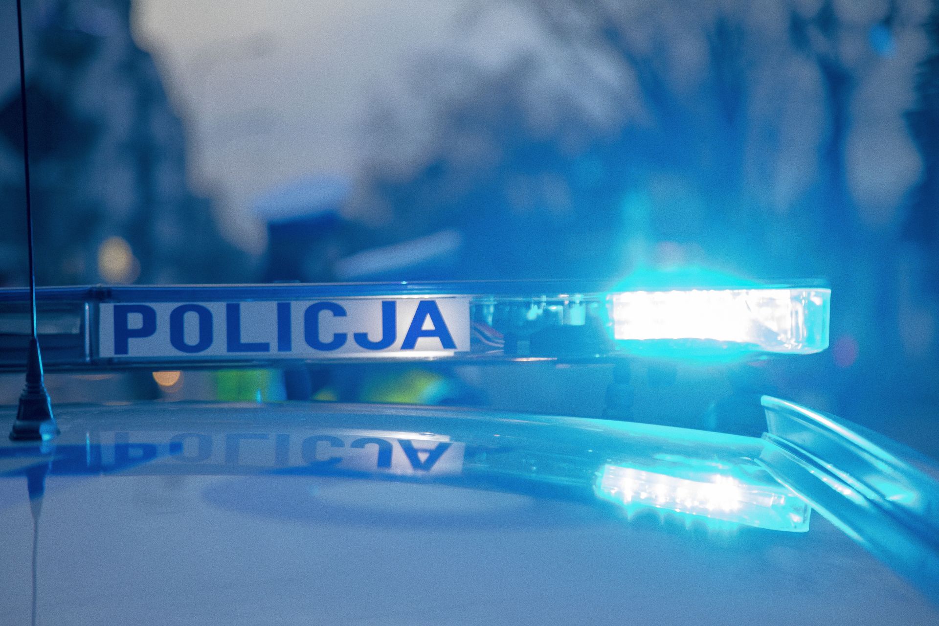 Makabryczne znalezisko w lesie koło Małogoszcza