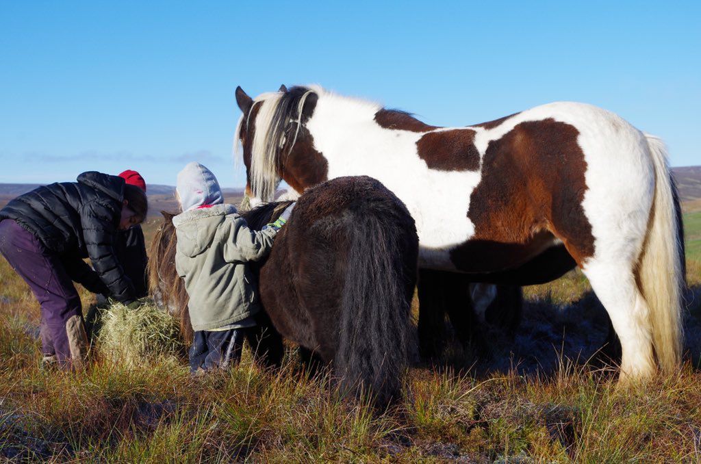 Dzieci Amandy wiedzą jak opiekować się zwierzętami [Twitter.com]