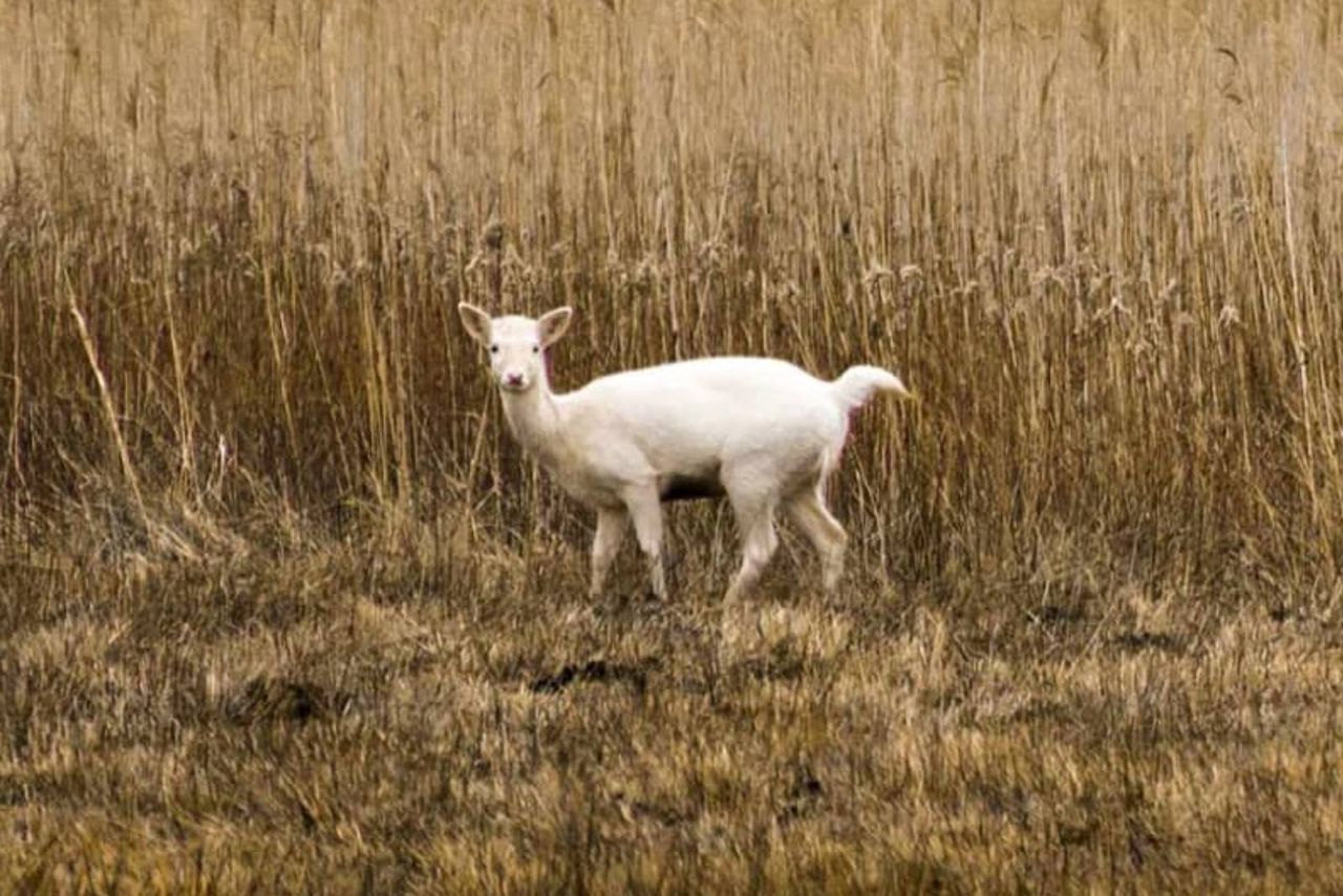 Od razu chwyciła za aparat. Miała tylko kilka sekund