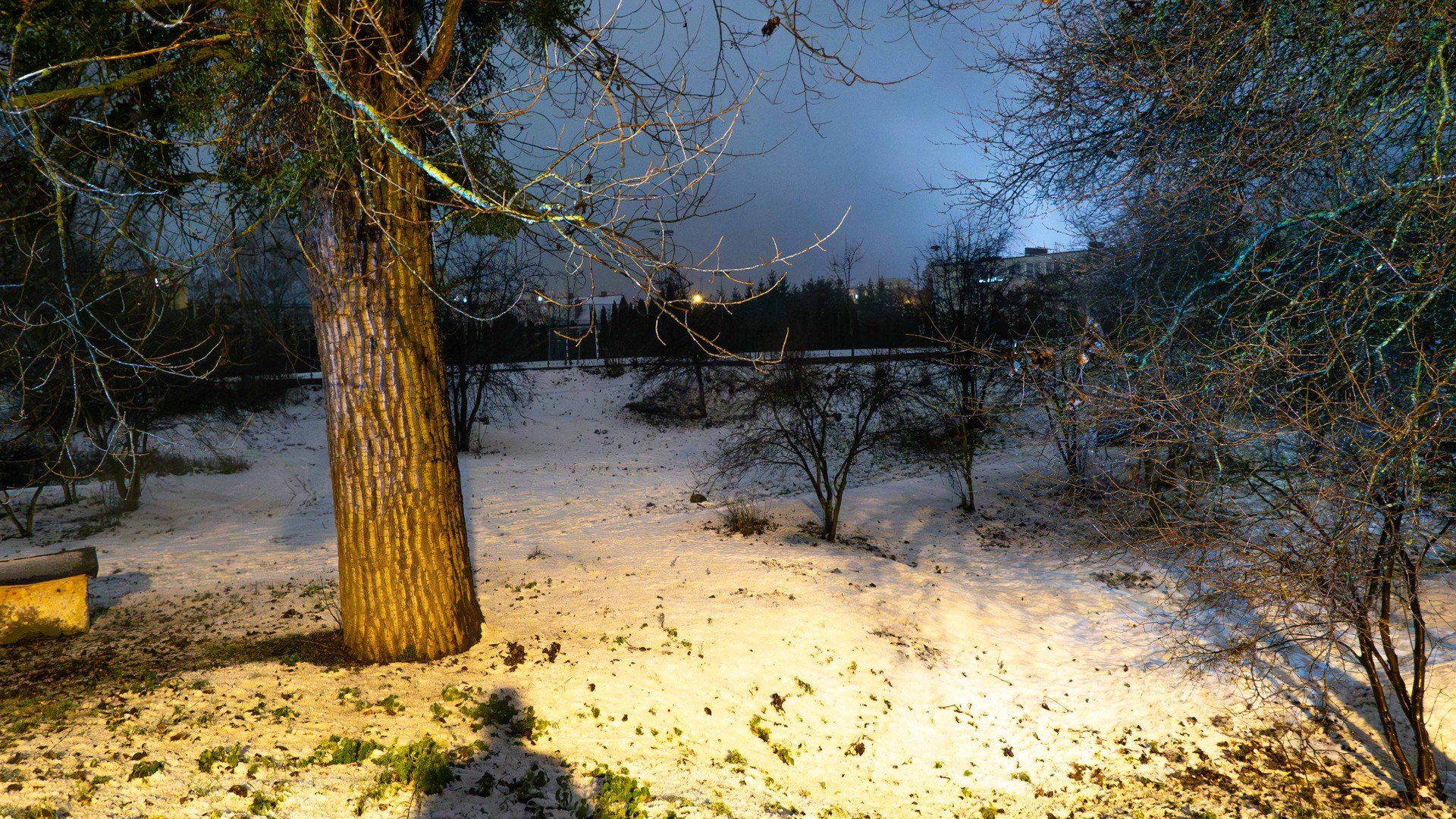 Wągrowiec w śnieżnej odsłonie