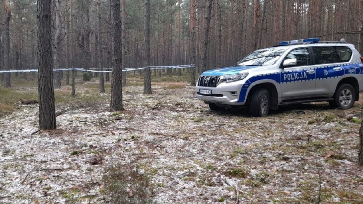 Zwłoki 67-letniej kobiety w lesie 