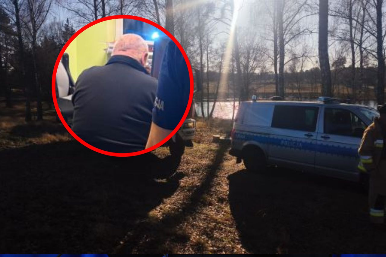 Myśliwy zastrzelił swoje psy, bo "zdziczały". Teraz żałuje