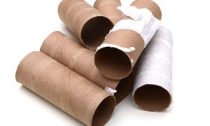 Genialny trik z rolkami po papierze. Twój ogród będzie zachwycony