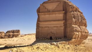 Zaskakujące odkrycia geologa. Znalazł ślady ewolucji roślin w Arabii Saudyjskiej