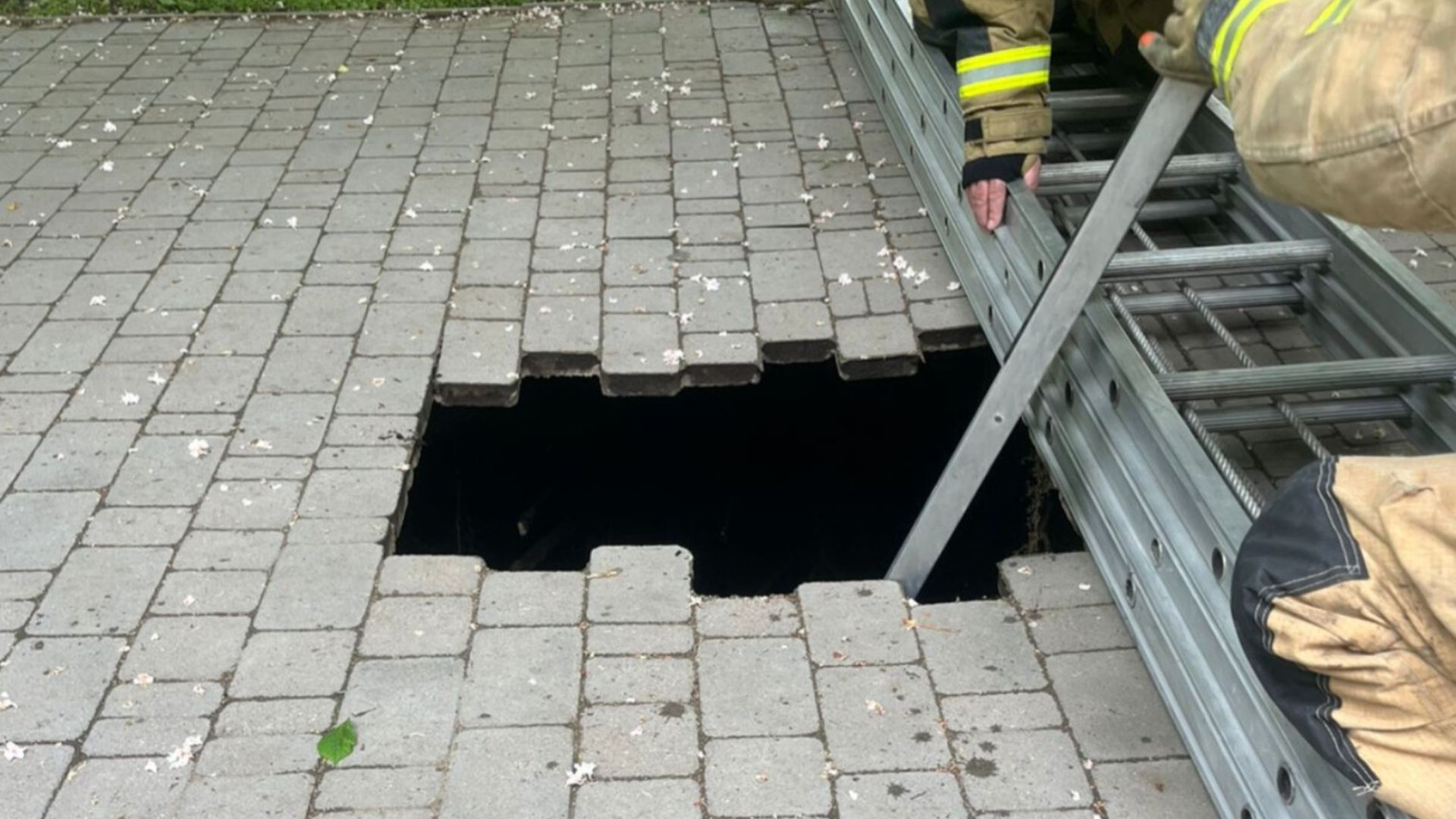 Dziecko w pułapce
