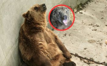 Mieszka w warszawskim zoo. "Prosimy o wyrozumiałość dla staruszki"