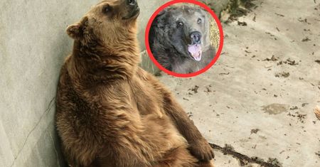 Mieszka w warszawskim zoo. "Prosimy o wyrozumiałość dla staruszki"