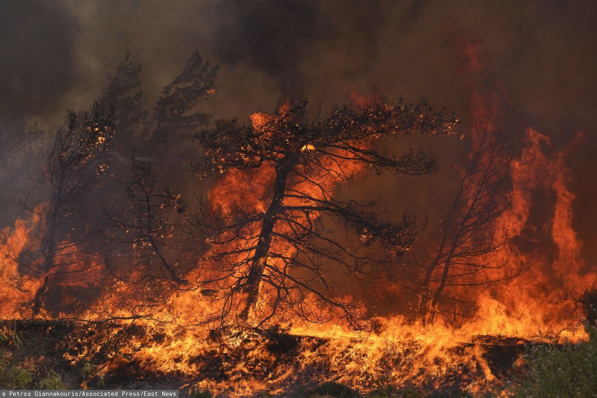 Pożary na wyspie Rodos
