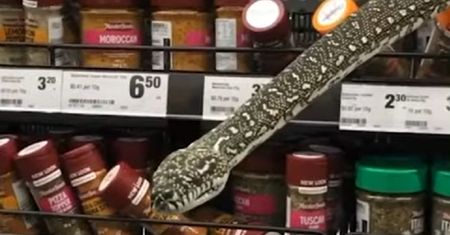 Sięgnęła po przyprawy i wtedy stało się to. Szok na zakupach w supermarkecie