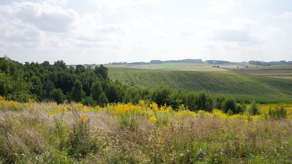  Wzgórza Trzebnickie