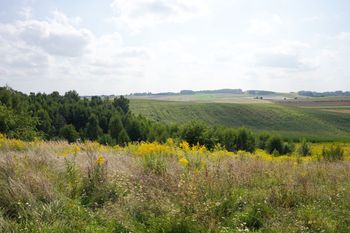 Kocie Góry na Dolnym Śląsku. Piękne i mało znane miejsce na relaks