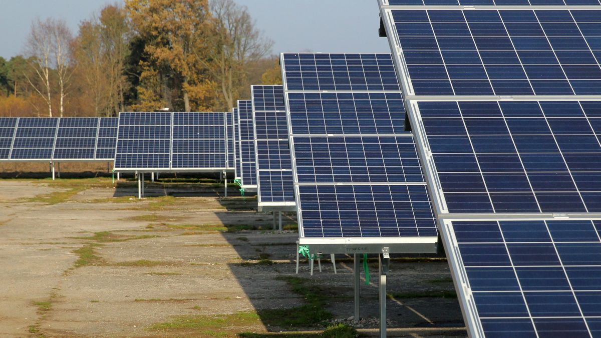 Tauron inwestuje w fotowoltaikę.