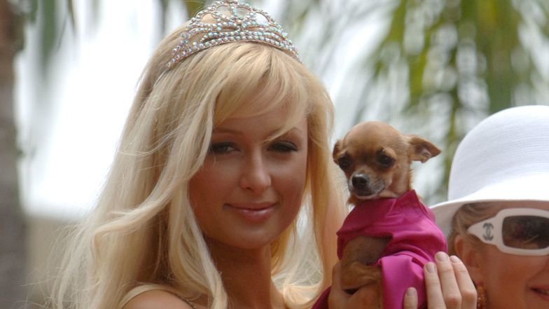 Paris Hilton komentuje plotki o ciąży z Carterem Reumem.