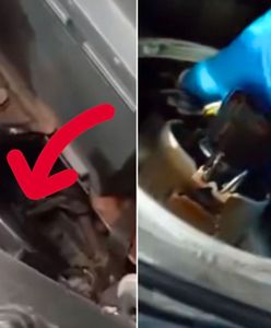 Odkrycie pod maską pojazdu. Kierowca miał skrytkę w lampie