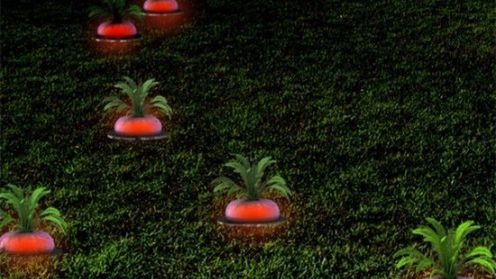 "Dojrzałe Rzodkiewki" zasilane energią słońca 1