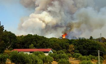 Pali się u naszych zachodnich sąsiadów. Dym widać aż z okolic Jawora na Dolnym Śląsku! Niemcy walczą z pożarami lasów