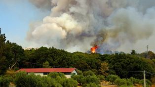Pali się u naszych zachodnich sąsiadów. Dym widać aż z okolic Jawora na Dolnym Śląsku! Niemcy walczą z pożarami lasów