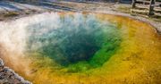 Yellowstone. Gotowali kurczaka w gejzerze. Strażnikom opadły ręce