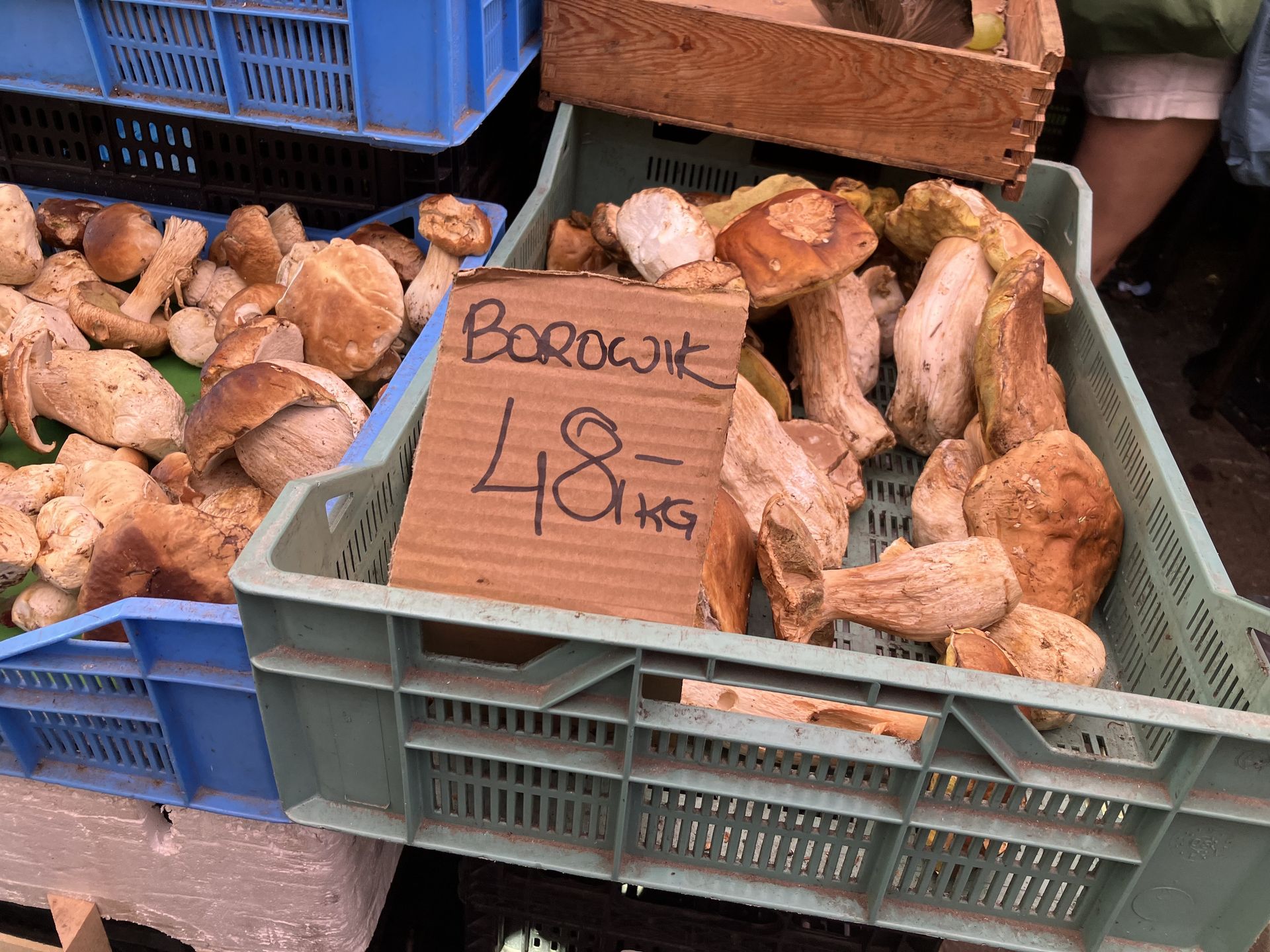 Największe borowiki mają najniższą cenę