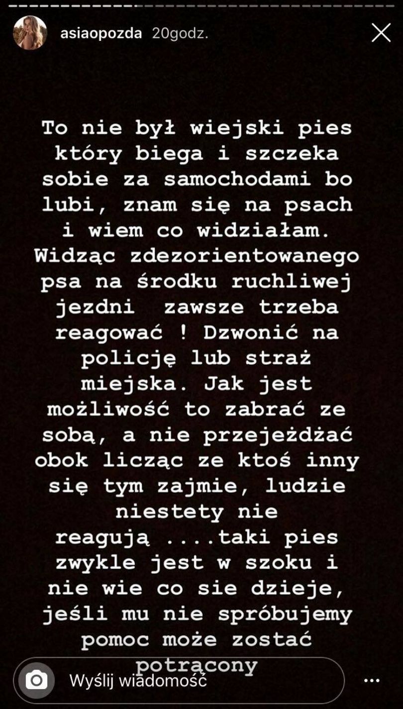 Joanna Opozda świadkiem porzucenia psa na ruchliwej ulicy