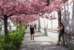 Marzec kolejnym rekordowo gorącym miesiącem. Czy zmiana klimatu przyspiesza?