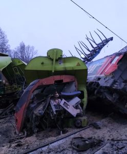 Katastrofa kolejowa w Czechach. Maszynista wyskoczył