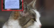Nietypowa napaść w Toruniu. Właścicielka kota zostawiła kartkę