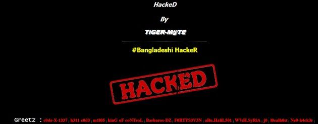 Tiger-M@TE hacker