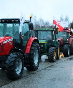 Protest rolników w Warszawie. Do centrum wjedzie sto ciągników