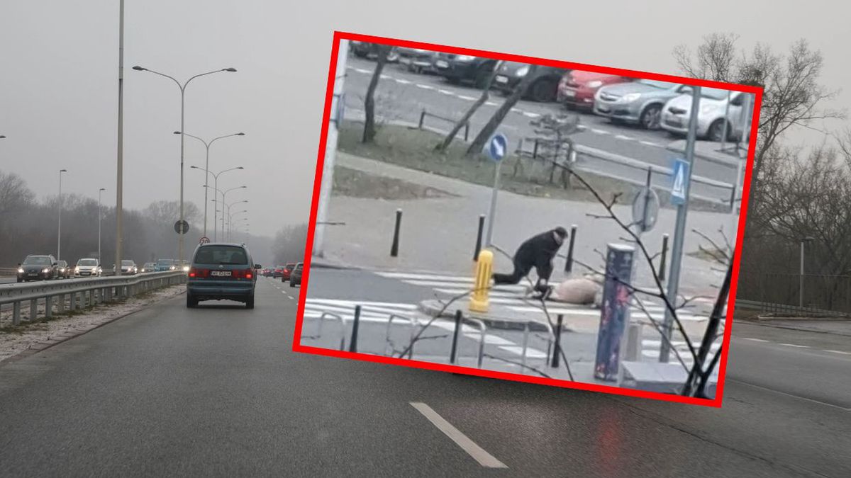 Gołoledź w Warszawie