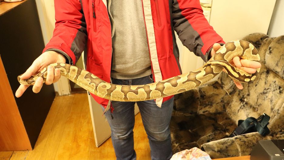 To policjanci znaleźli w przesyłce konduktorskiej