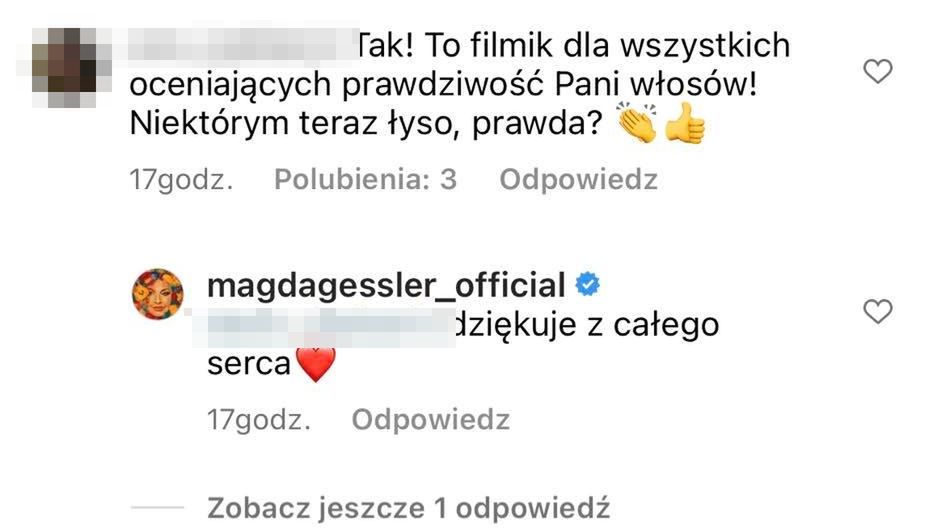 Komentarze pod postem Magdy Gessler