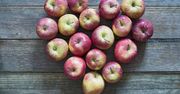 Odmiany jabłek i ich zastosowanie