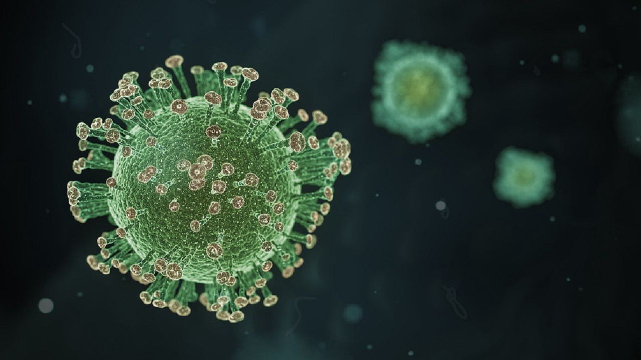 Przeciwciała koronawirusa utrzymują się w organizmie przez cztery miesiące. Nowe badania