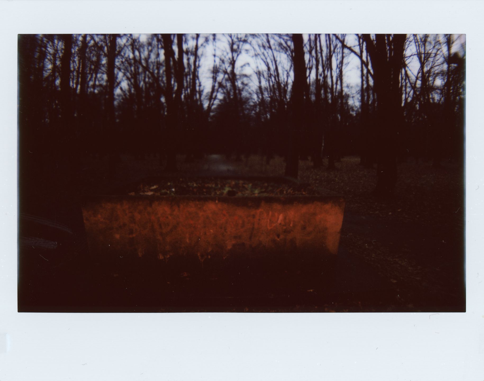 Lomo'Instant Wide – sensowny współczesny aparat natychmiastowy czy kolejny hipsterski wymysł? 13