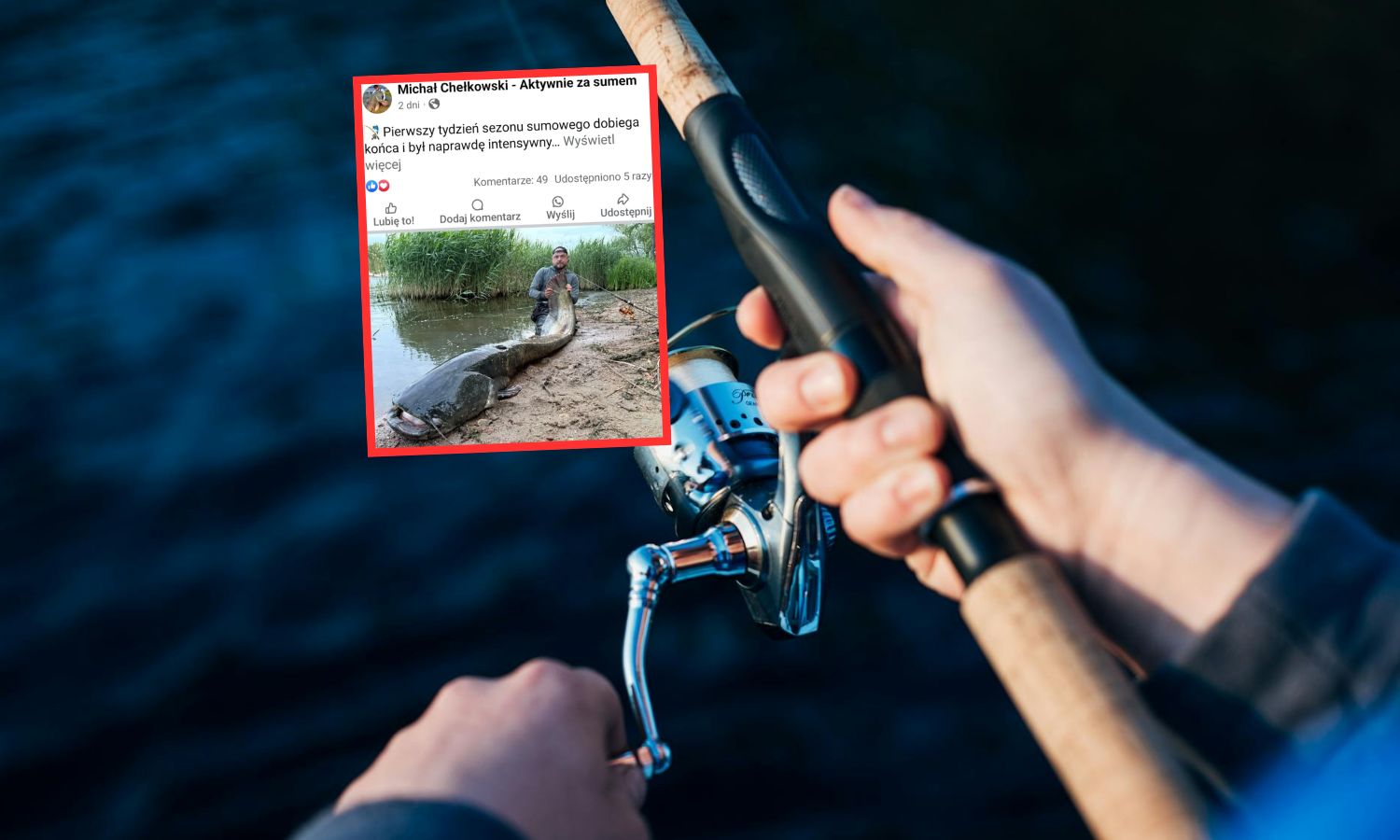 Oto co złowił w Odrze. Miał aż 252 cm