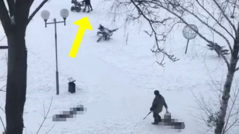 Mężczyzna zabijał psy na oczach dzieci 