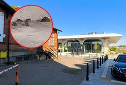 "Szczurze ZOO" w okolicach nowego dworca w Lublinie. "Naliczył 30"