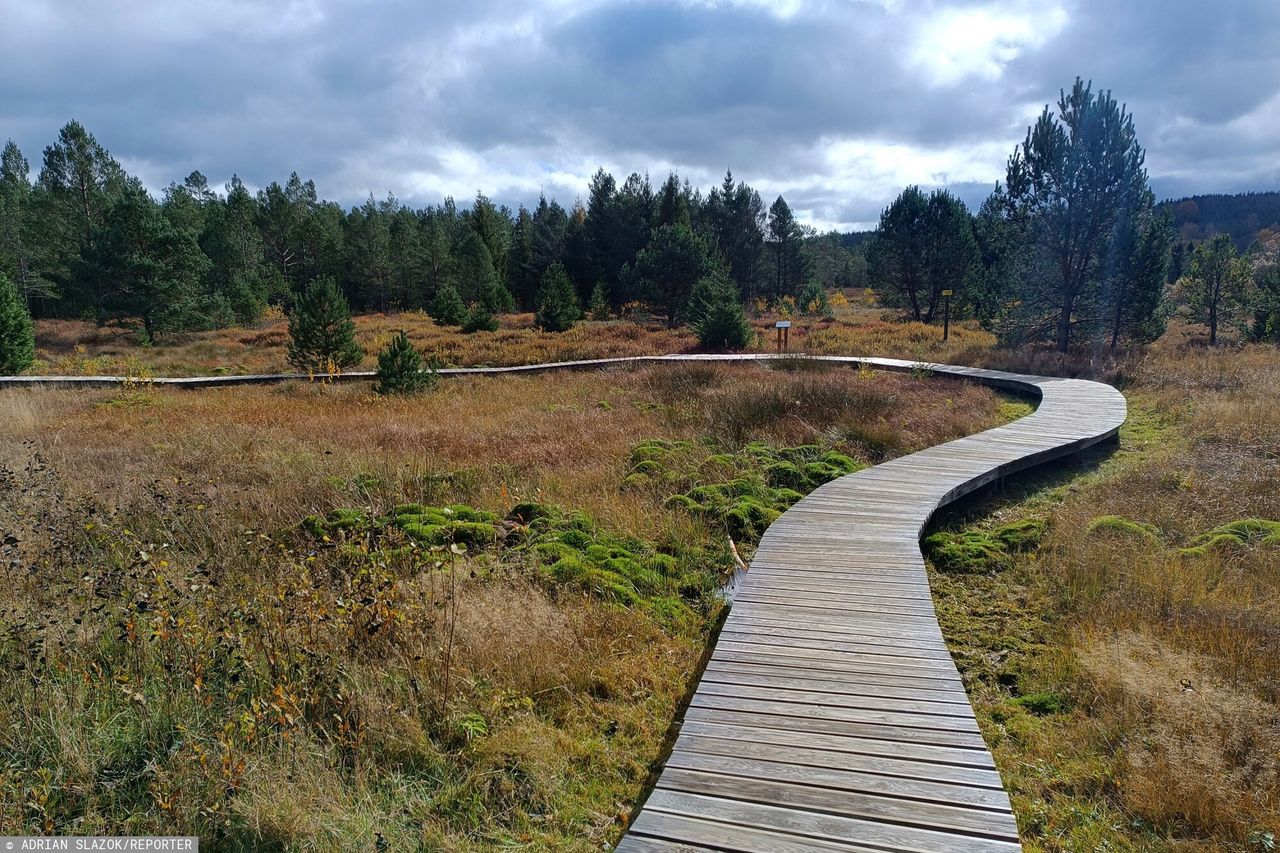 Chcą utworzyć "Międzynarodowy Park Karpat"