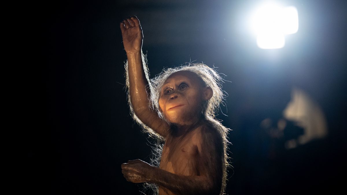 Niezwykłe eksponaty w czeskim muzeum