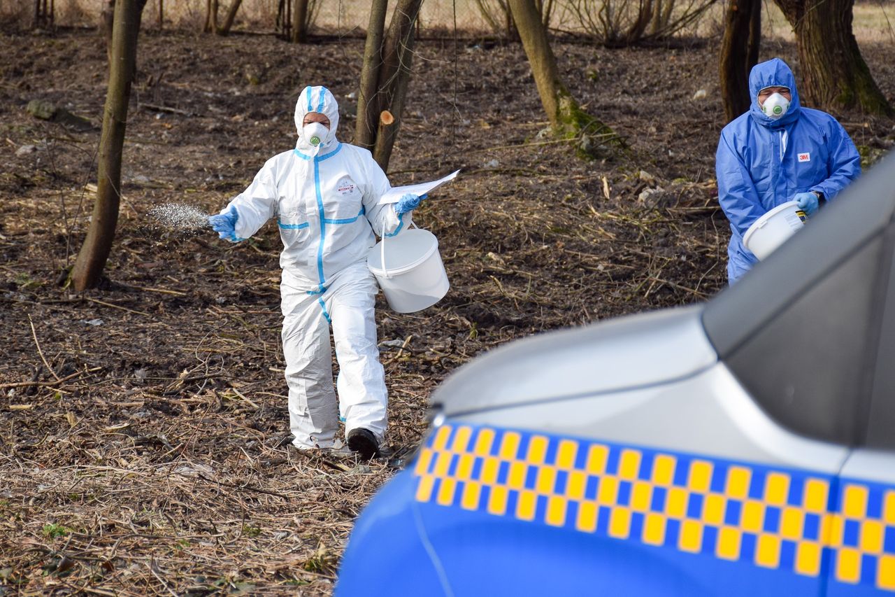 Działania służb w Białymstoku. Mieszkańcy proszeni są o zachowanie ostrożności