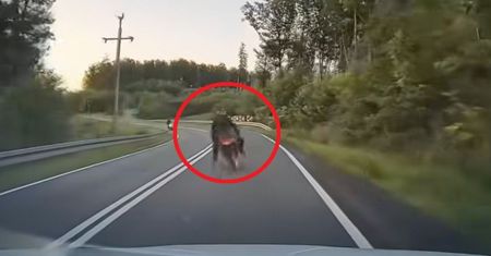 Motocyklista zjechał na czołówkę. Nagranie z wypadku na DK 31