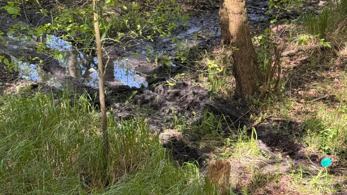 Nadleśnictwo Ośno Lubuskie apeluje ws. quadów.